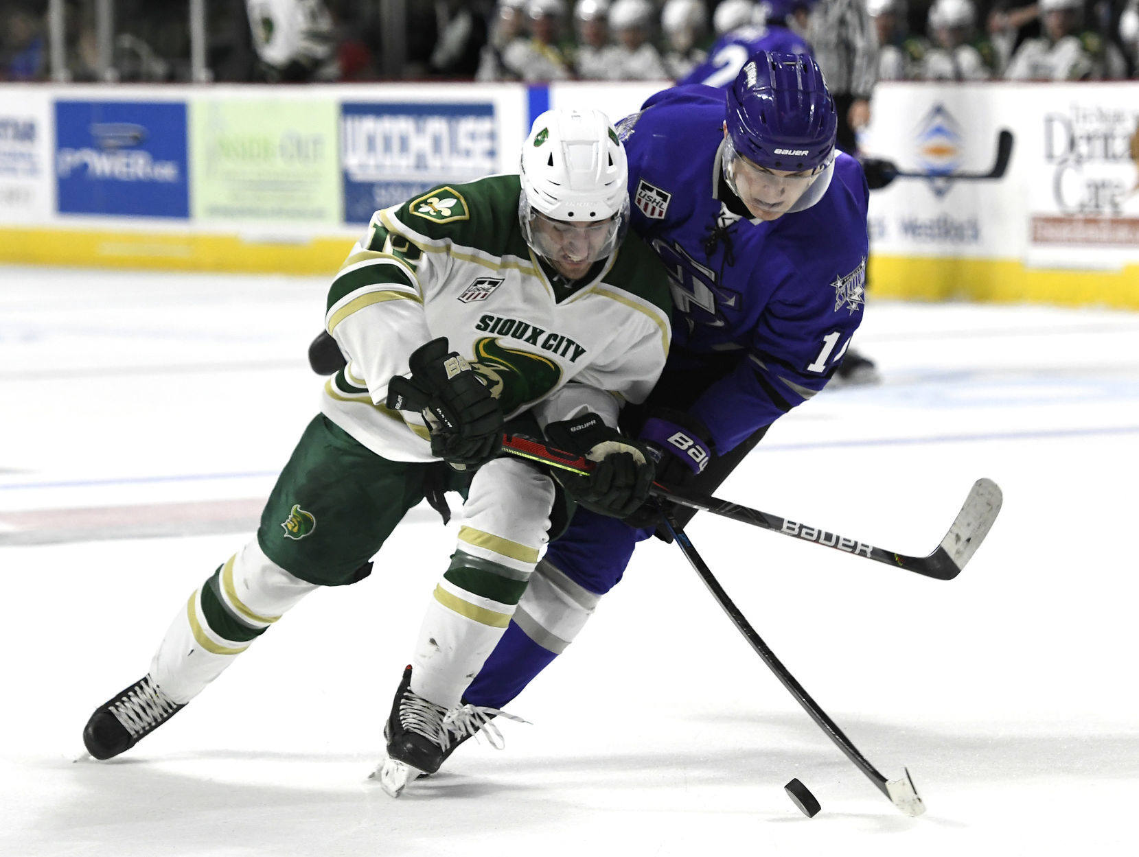 Musketeers defeated by Tri-City Storm